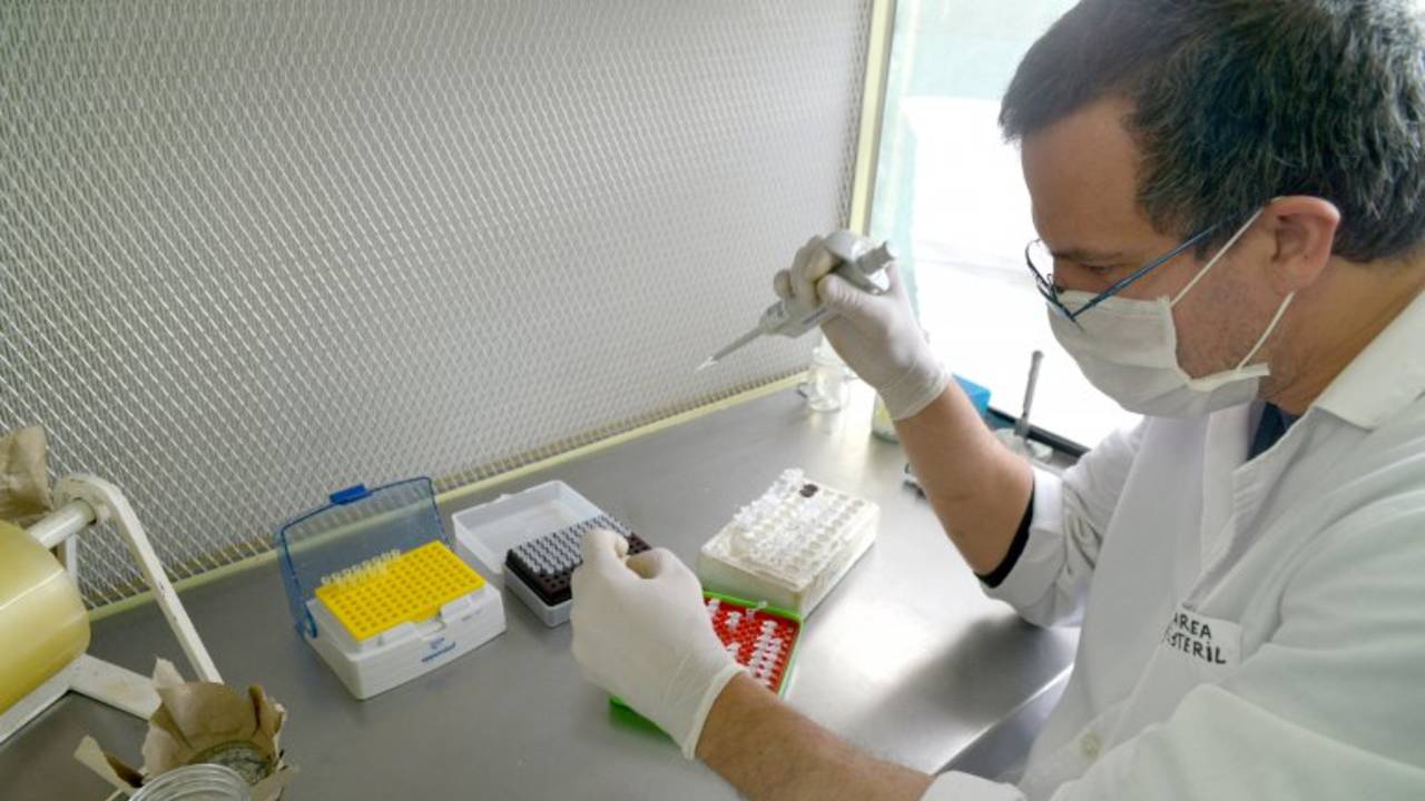 Inédito: Argentina comercializará cultivos biotecnológicos nacionales