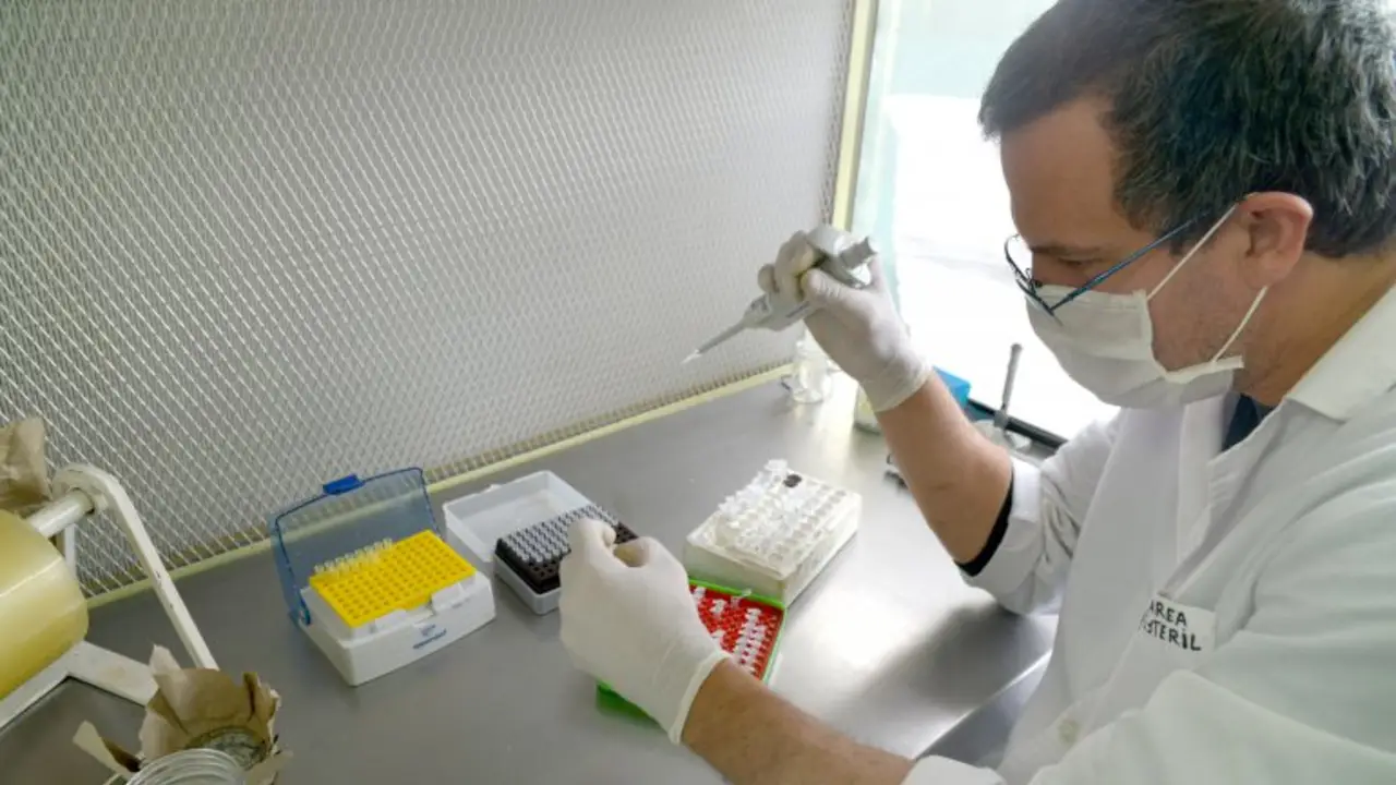 Inédito: Argentina comercializará cultivos biotecnológicos nacionales