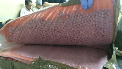 Pretendían ingresar pastillas de éxtasis por casi 500 mil dólares ocultas en una pileta inflable Pretendían ingresar pastillas de éxtasis por casi 500 mil dólares ocultas en una pileta inflable
