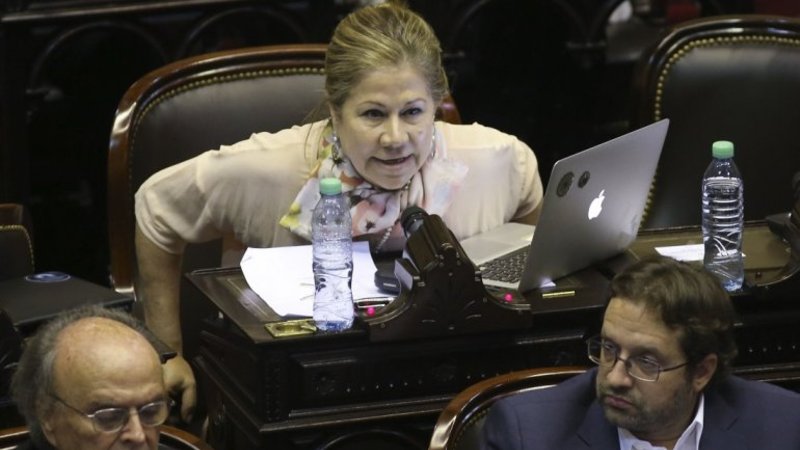 Graciela Camaño apuntó al Gobierno: "Salió a apropiarse de la marcha para agudizar la grieta"