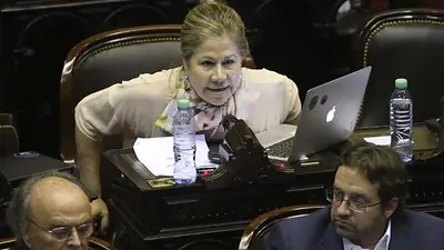 Graciela Camaño apuntó al Gobierno: "Salió a apropiarse de la marcha para agudizar la grieta" Graciela Camaño apuntó al Gobierno: "Salió a apropiarse de la marcha para agudizar la grieta"