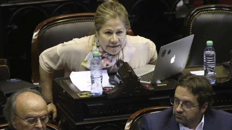 Graciela Camaño apuntó al Gobierno: "Salió a apropiarse de la marcha para agudizar la grieta"