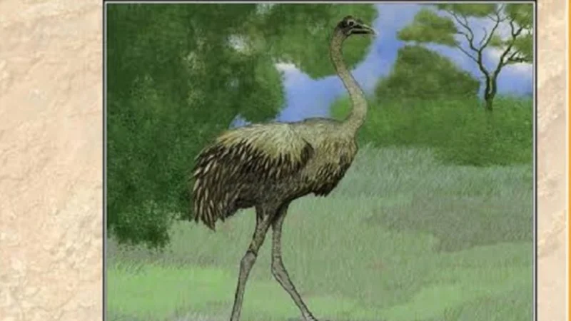 Científicos del Conicet hallan una nueva especie de Ñandú y la llaman Néstor Kirchner