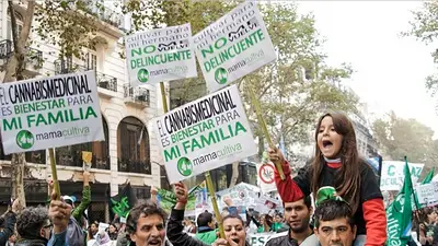 El Ejecutivo promulgó la ley de uso medicinal del cannabis El Ejecutivo promulgó la ley de uso medicinal del cannabis