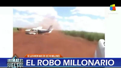 Animales Sueltos volvió a mostrar un video narco que era del 2011 Animales Sueltos volvió a mostrar un video narco que era del 2011