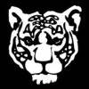 Noticias de Tigre  - El Destape