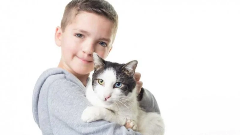 Madden y Moon: la tierna amistad entre un niño y un gato que tienen ojos de distintos colores y labio leporino