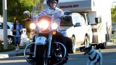 ¿Arranca o no arranca? El fallido truco de unos motociclistas para esquivar a dos perros ¿Arranca o no arranca? El fallido truco de unos motociclistas para esquivar a dos perros