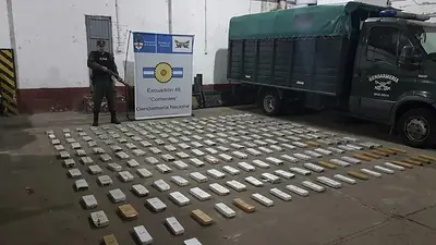 Insólito: ahora Gendarmería dice que las ratas se comieron 850 kilos de marihuana Insólito: ahora Gendarmería dice que las ratas se comieron 850 kilos de marihuana