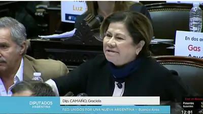 Camaño contra el gobierno por la caída de la sesión: "Esto es peor que el diputrucho" Camaño contra el gobierno por la caída de la sesión: "Esto es peor que el diputrucho"