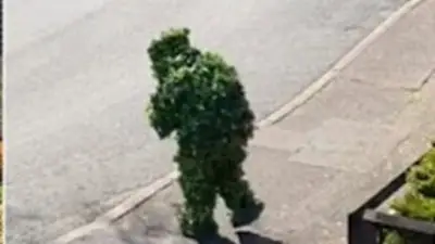 Viral en TikTok: un hombre disfrazado de árbol fue descubierto al querer violar la cuarentena Viral en TikTok: un hombre disfrazado de árbol fue descubierto al querer violar la cuarentena