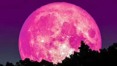 Fenómeno de la naturaleza: ¿Cuándo podrá verse la luna rosa en Argentina? Fenómeno de la naturaleza: ¿Cuándo podrá verse la luna rosa en Argentina?