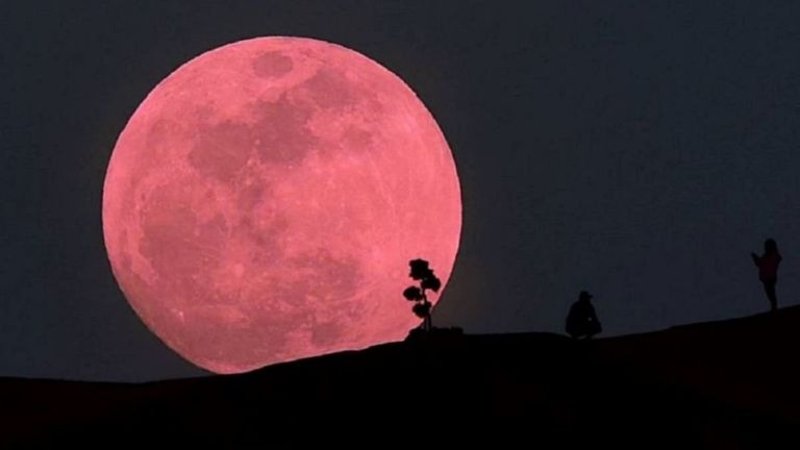 Cómo será y cómo ver el fenómeno de la súper luna llena rosa de abril 2020