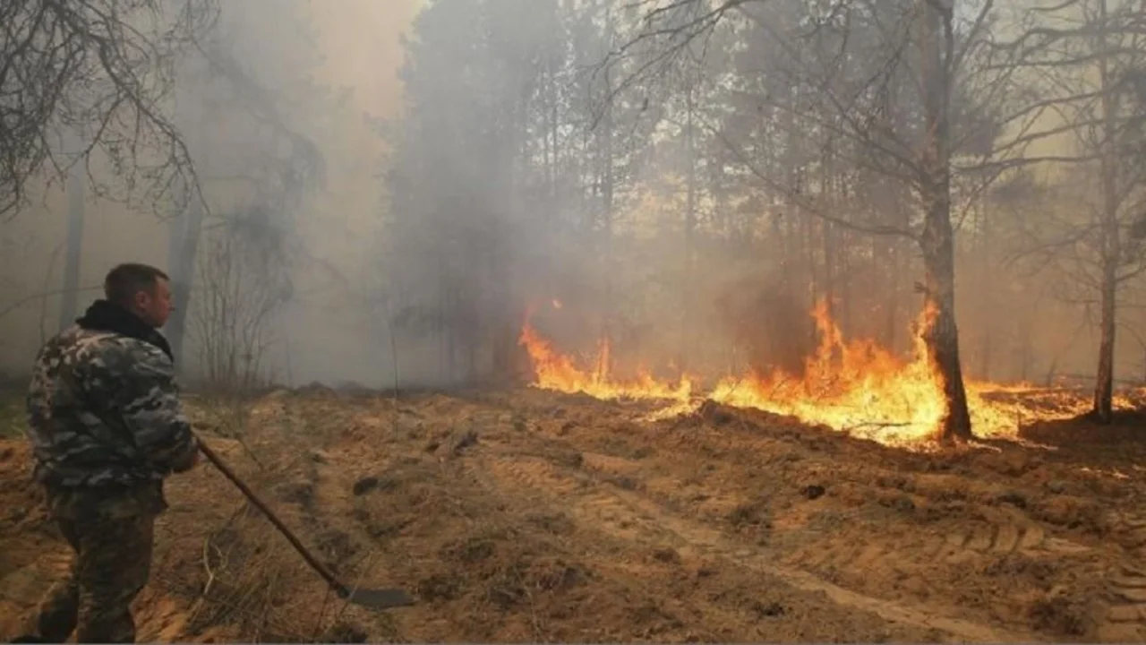 Alivio: controlan el incendio de Chernobyl y estudian daños causados