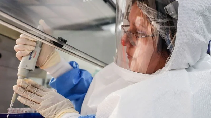 Cura del coronavirus: aseguran que en un año como máximo estará disponible la vacuna contra el COVID-19