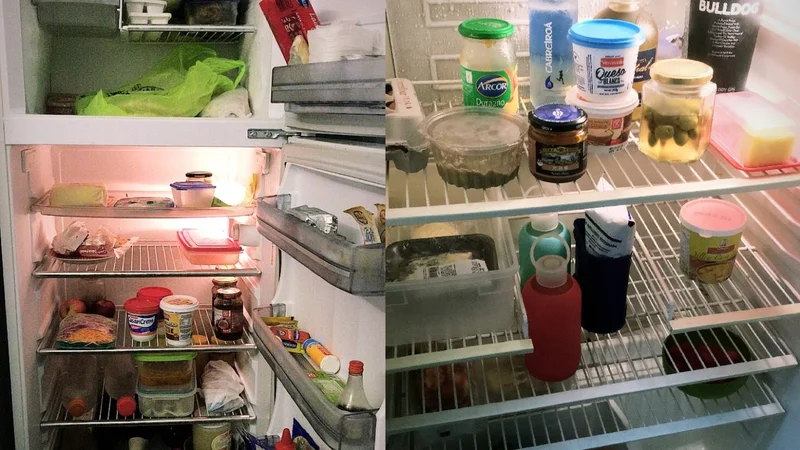 Cuánto tiempo vive el coronavirus en la heladera: ¿Nos podemos contagiar con alimentos congelados?
