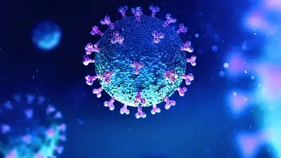 Importante avance para frenar el coronavirus: la propagación disminuiría después de 70 días Importante avance para frenar el coronavirus: la propagación disminuiría después de 70 días