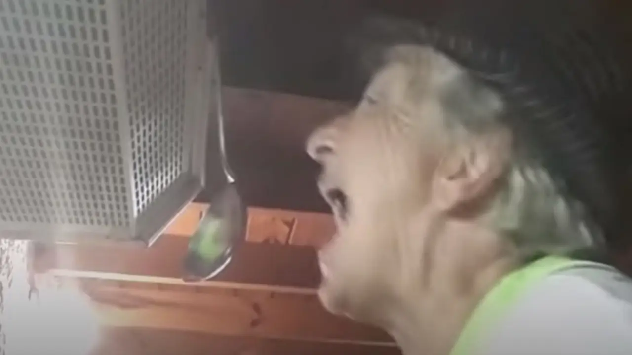 Furor por la abuela 'tiktokera': conoció Tik Tok en cuarentena y es viral en redes