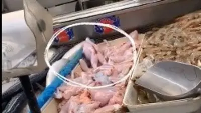 Video viral sensible: encuentran comida 'viva' en un restaurant chino de México Video viral sensible: encuentran comida 'viva' en un restaurant chino de México