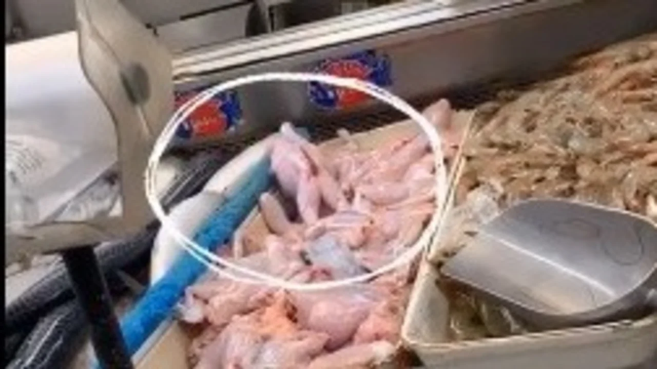 Video viral sensible: encuentran comida 'viva' en un restaurant chino de México