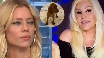 Susana Giménez insultó a Nicole Neumann, tras la polémica por abandonar a su perra adoptada Susana Giménez insultó a Nicole Neumann, tras la polémica por abandonar a su perra adoptada
