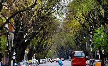 El maestro y los días | Apuntes de la errancia