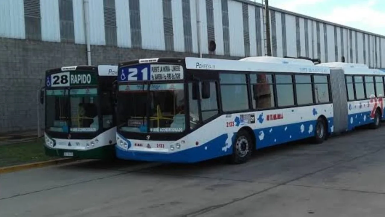 Las nuevas medidas de seguridad en los colectivos para combatir al COVID-19