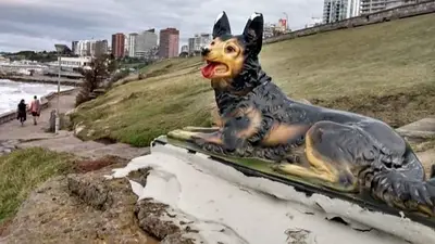 Mar del Plata, perro, estatua, misterio, curiosidades Mar del Plata, perro, estatua, misterio, curiosidades
