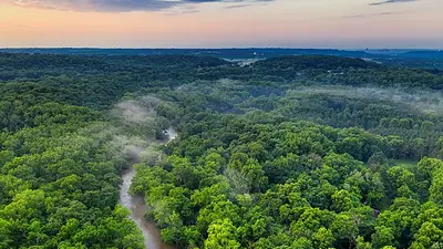 Amazonia Amazonia