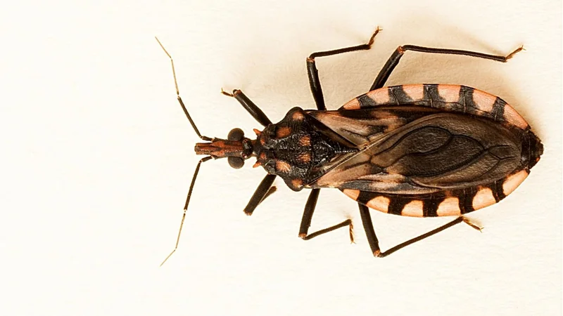 El NOA le hace frente al mal de chagas con nuevos compromisos