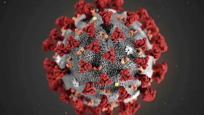 Coronavirus Coronavirus