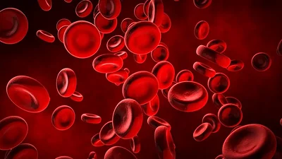 Un medicamento antidepresivo también podría ser anticoagulante Un medicamento antidepresivo también podría ser anticoagulante