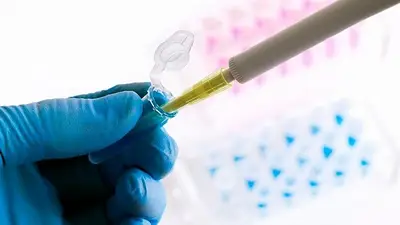 Alerta Covid-19: la OMS analiza dos nuevas variantes de Ómicron Alerta Covid-19: la OMS analiza dos nuevas variantes de Ómicron