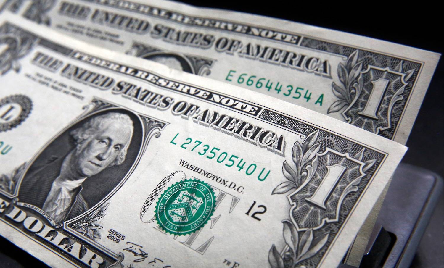 Noticias de Dolarización - El Destape