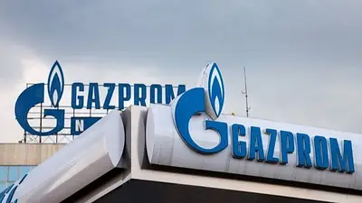 Putin denunció una campaña occidental contra la empresa Gazprom Putin denunció una campaña occidental contra la empresa Gazprom