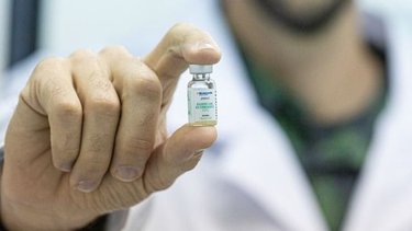 El Senasa aprobó la primera vacuna contra la rabia animal