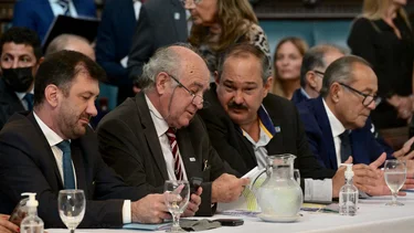 Senado: empezó el debate por el proyecto para pagarle al FMI con dólares fugados
