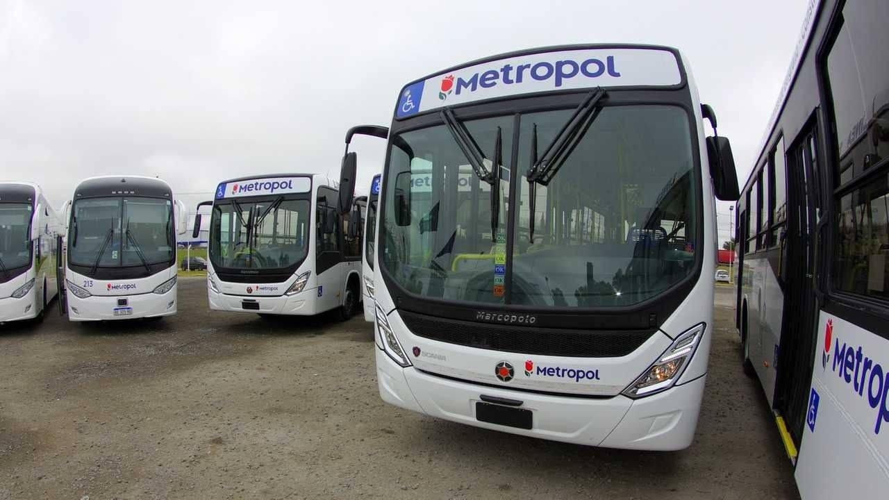Paro de colectivos Metropol: sorpresiva medida de fuerza por atraso salarial