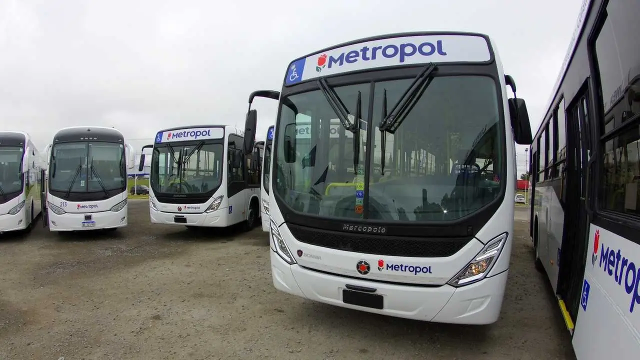 Paro de colectivos Metropol: sorpresiva medida de fuerza por atraso salarial