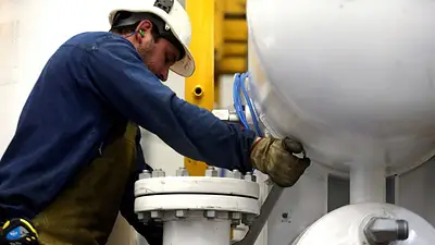 Según Financial Times, Vaca Muerta reemplazará al petróleo y gas de Rusia Según Financial Times, Vaca Muerta reemplazará al petróleo y gas de Rusia