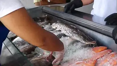 El sector pesquero pidió un "dólar langostino" El sector pesquero pidió un "dólar langostino"
