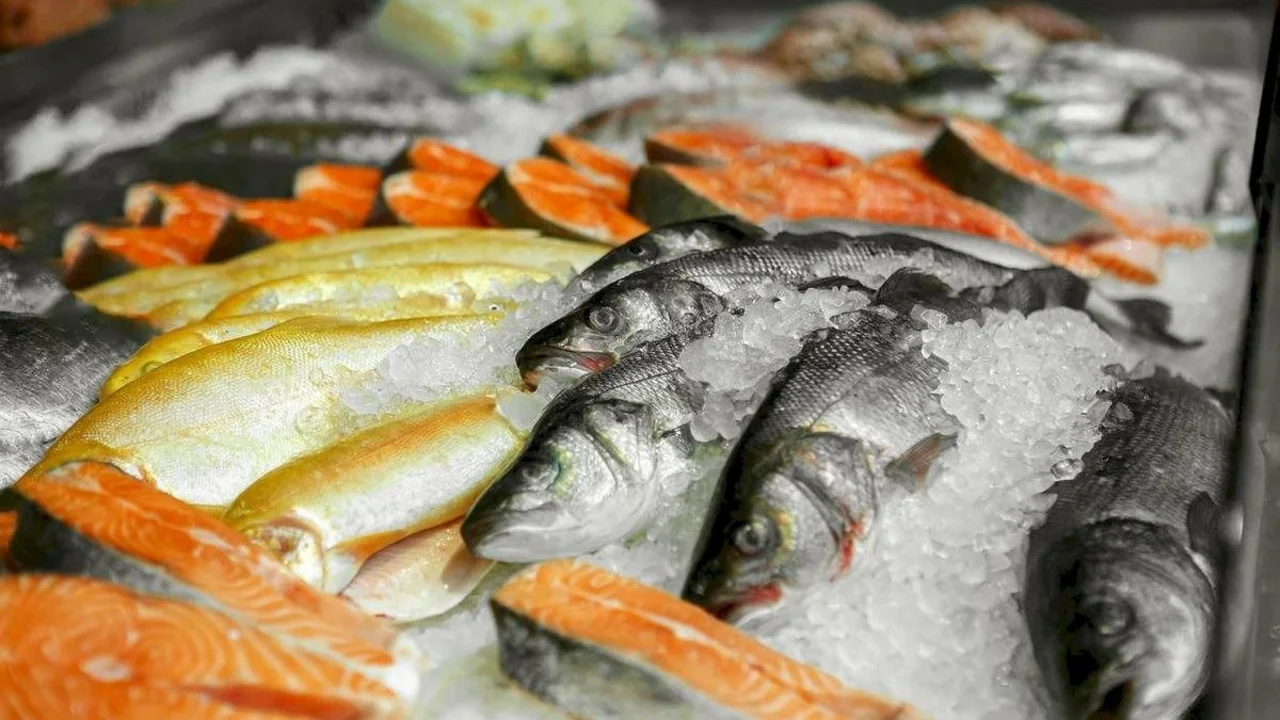 Semana Santa: cómo consumir pescado de forma segura