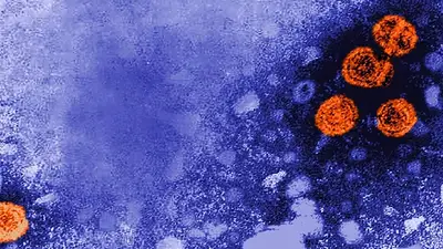 El brote de una nueva hepatitis infantil genera desconcierto entre los científicos El brote de una nueva hepatitis infantil genera desconcierto entre los científicos