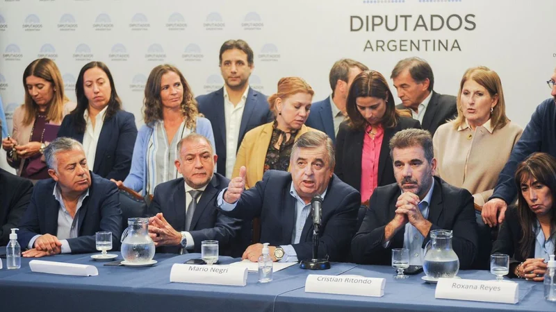 Senado: la jugada de Cristina enloquece a Juntos y convocan a una marcha
