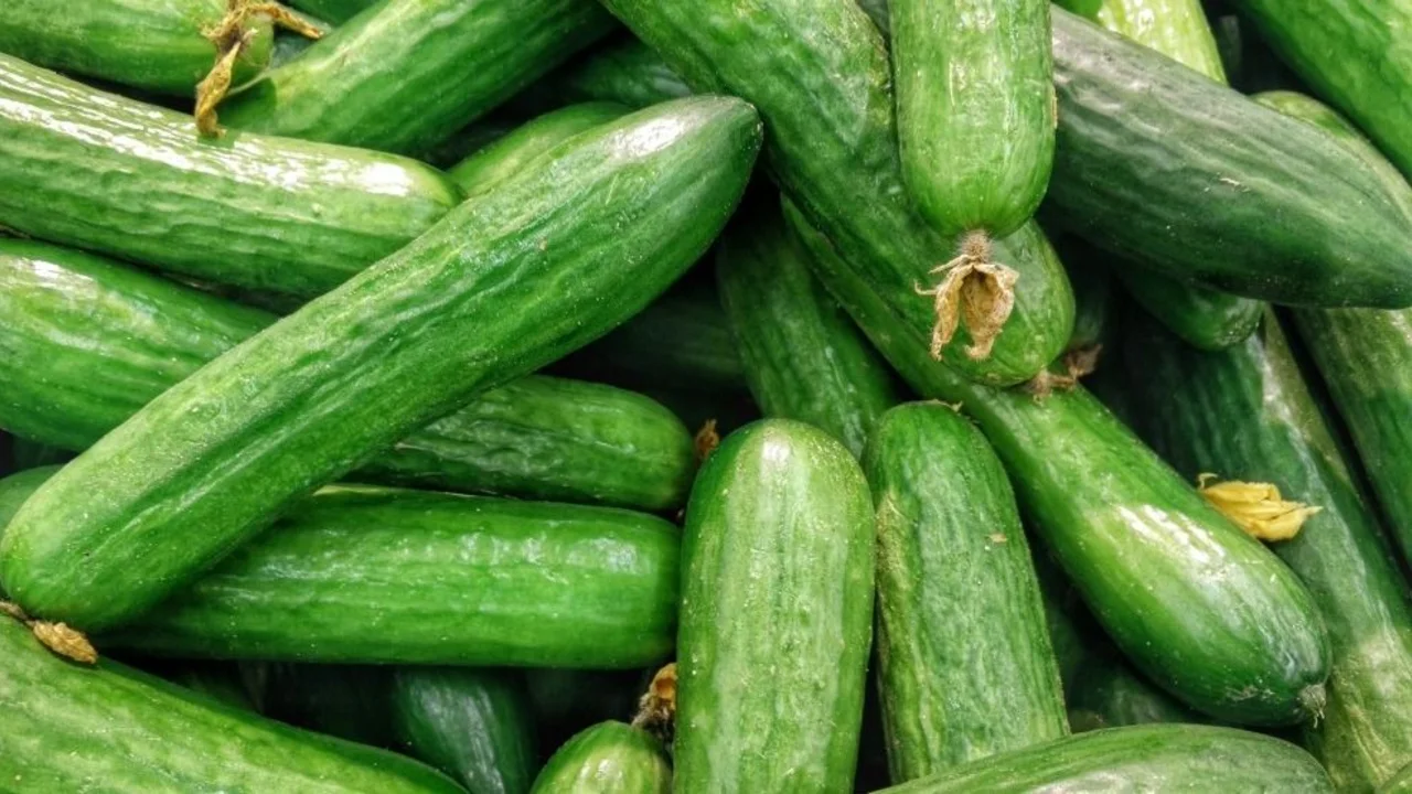 Cómo hacer pepinos dulces fácilmente