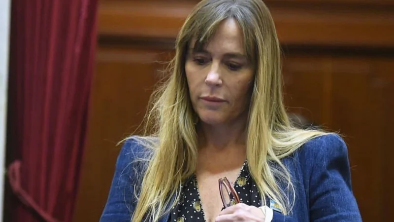 Di Tullio comparó a los jueces de Clarín con Yabrán: "No quieren que se conozcan sus caras"