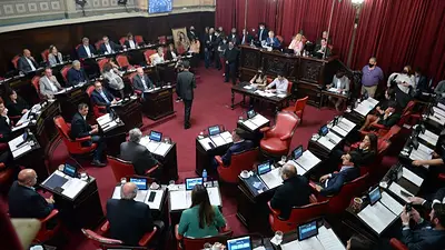 El Senado de PBA aprobó la suspensión de las PASO bonaerenses El Senado de PBA aprobó la suspensión de las PASO bonaerenses