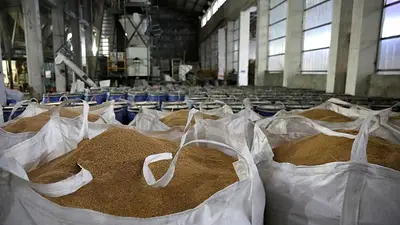 Alemania llama a una reunión internacional para abordar la crisis alimenticia por la guerr Alemania llama a una reunión internacional para abordar la crisis alimenticia por la guerr