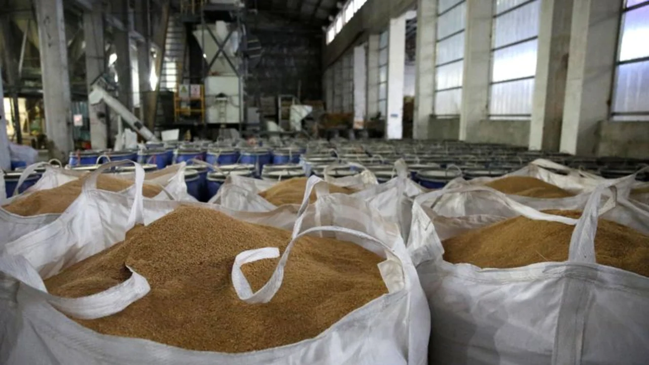 Alemania llama a una reunión internacional para abordar la crisis alimenticia por la guerr