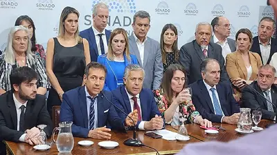 Senadores de JxC pidieron una sesión pero excluyeron tratar Alcohol Cero Senadores de JxC pidieron una sesión pero excluyeron tratar Alcohol Cero